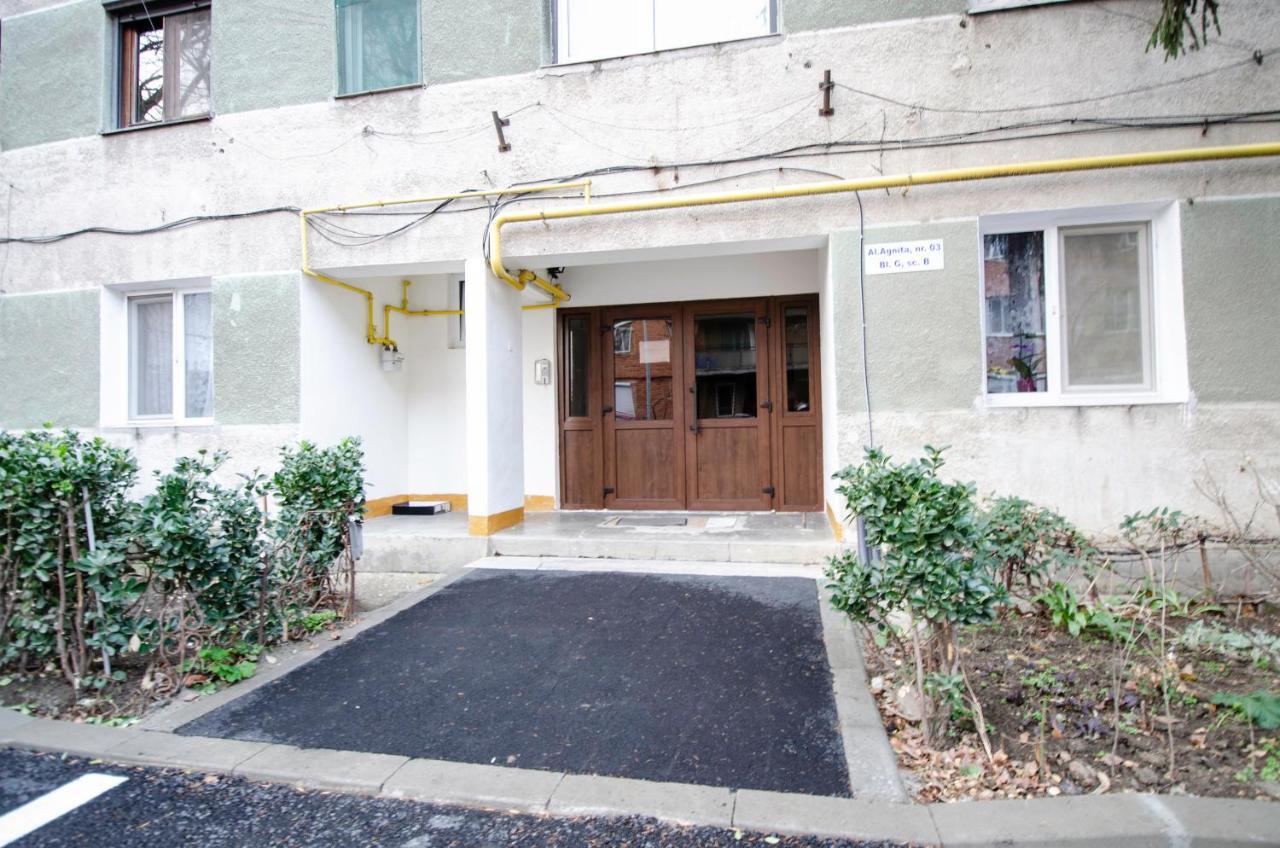 Miha Modern And Central Apartament アラド エクステリア 写真