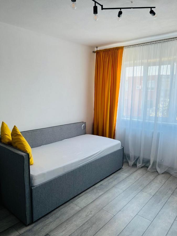Miha Modern And Central Apartament アラド エクステリア 写真