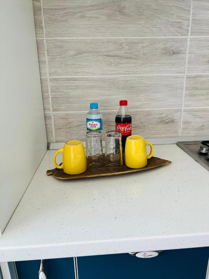Miha Modern And Central Apartament アラド エクステリア 写真